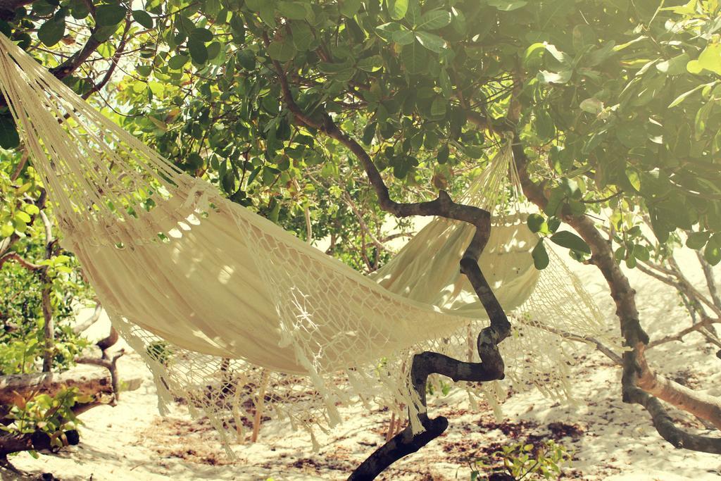 Eco Kite Dunas Preá Zewnętrze zdjęcie
